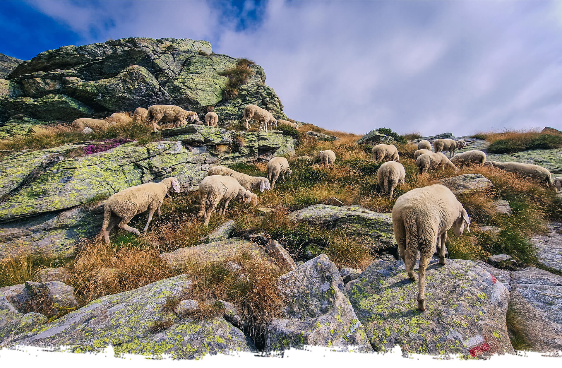 Cammino di Oropa Valdostano Copertina terzo articolo